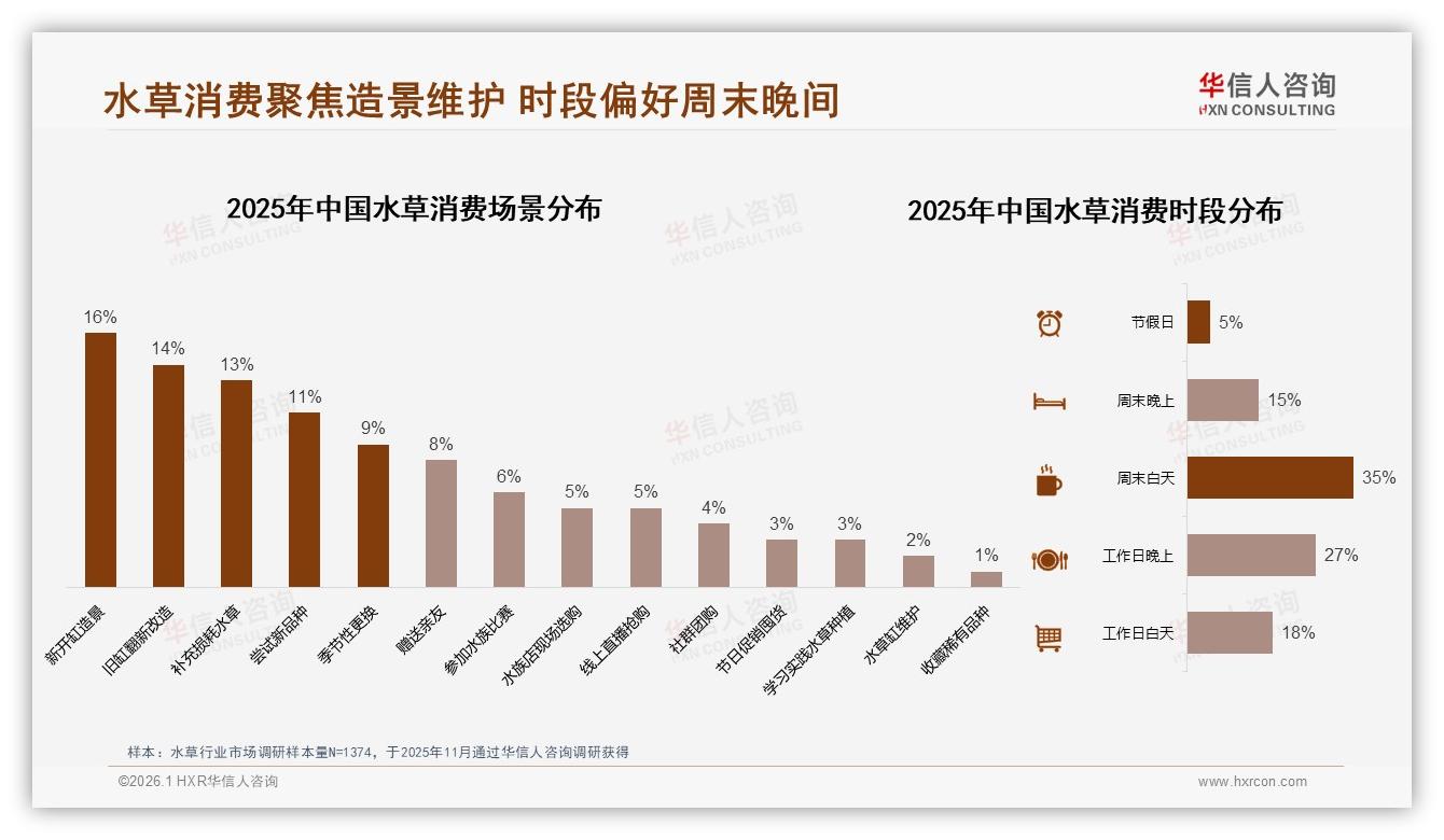 华信人咨询水草品类年报：天猫79%份额水草线上销售，京东20%抖音不足1%-2026年1月-水草-38