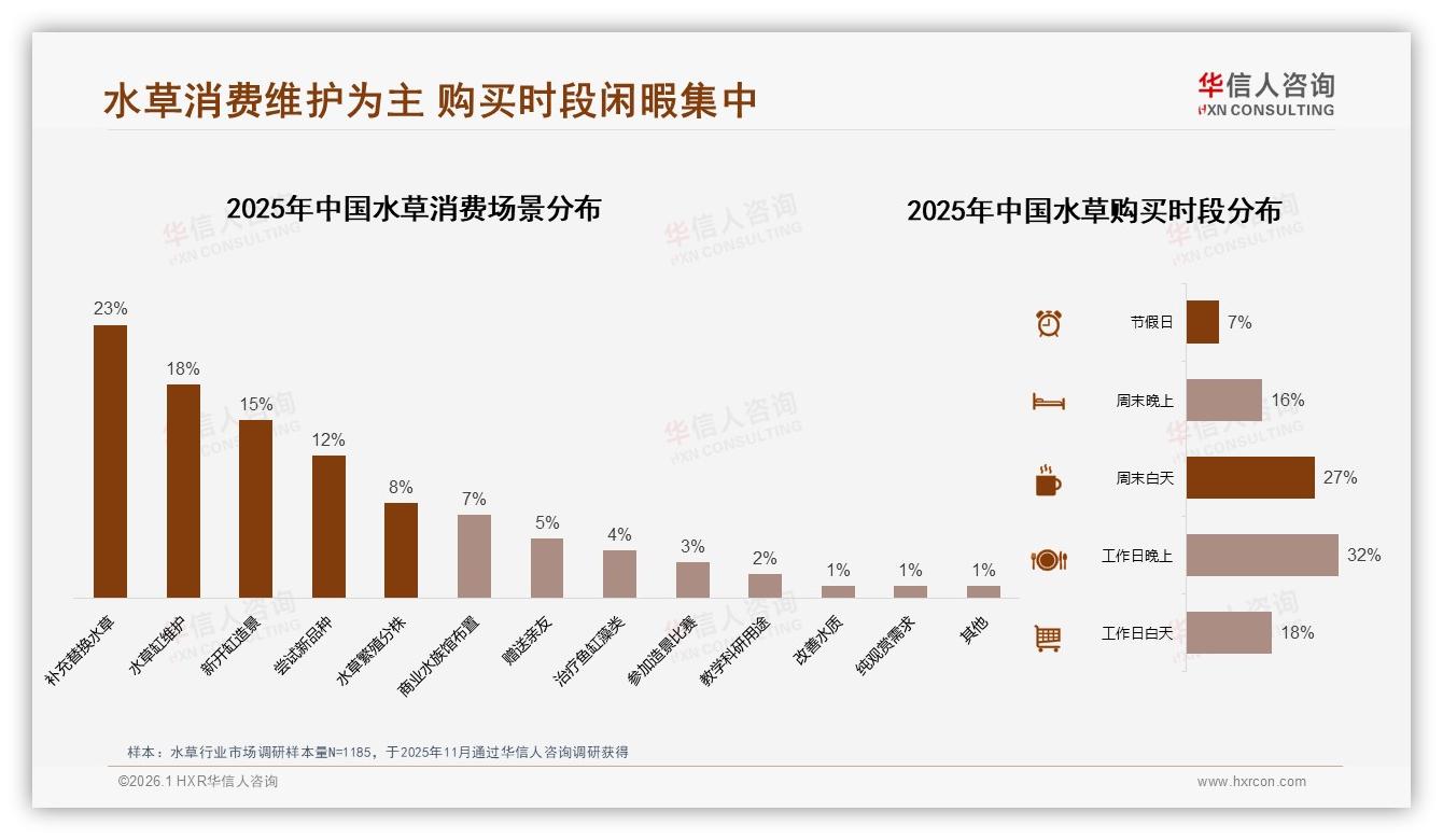 华信人咨询水草品类年报：工作日晚上32%下单集中，夜间客服满意度仅65%-2026年1月-水草-38
