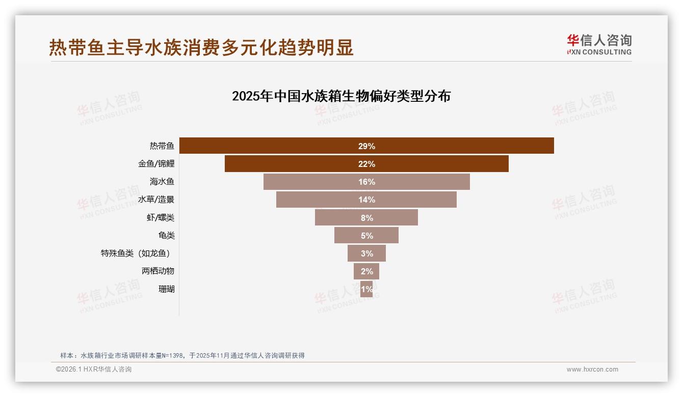 华信人咨询独家披露：29%消费者最爱热带鱼，多物种生态缸待掘-2026年1月-水族箱-38