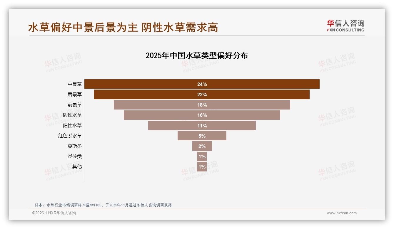 华信人咨询年度复盘：中景草24%占比登顶，水草造景教程内容缺口高达32%-2026年1月-水草-38