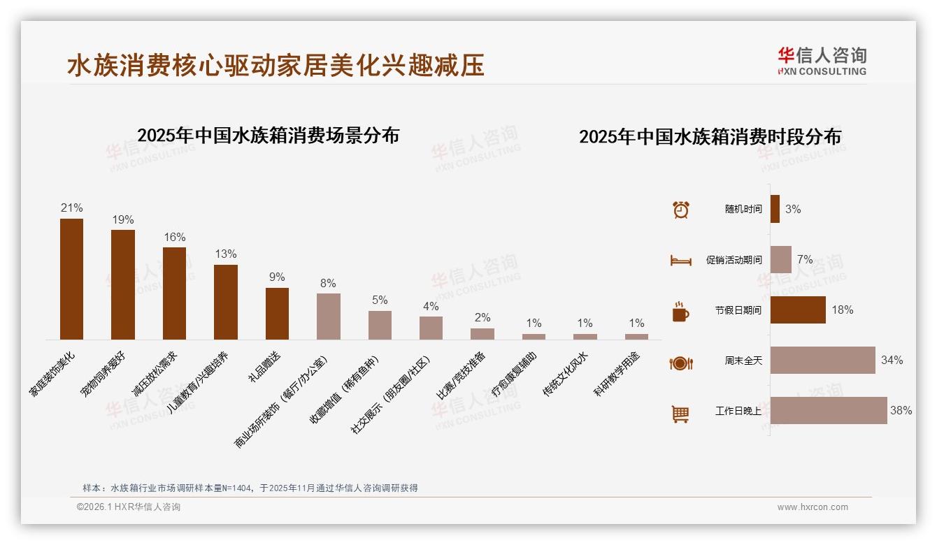 华信人咨询专题解读：21%家庭装饰场景驱动水族箱颜值升级-2026年1月-水族箱-38